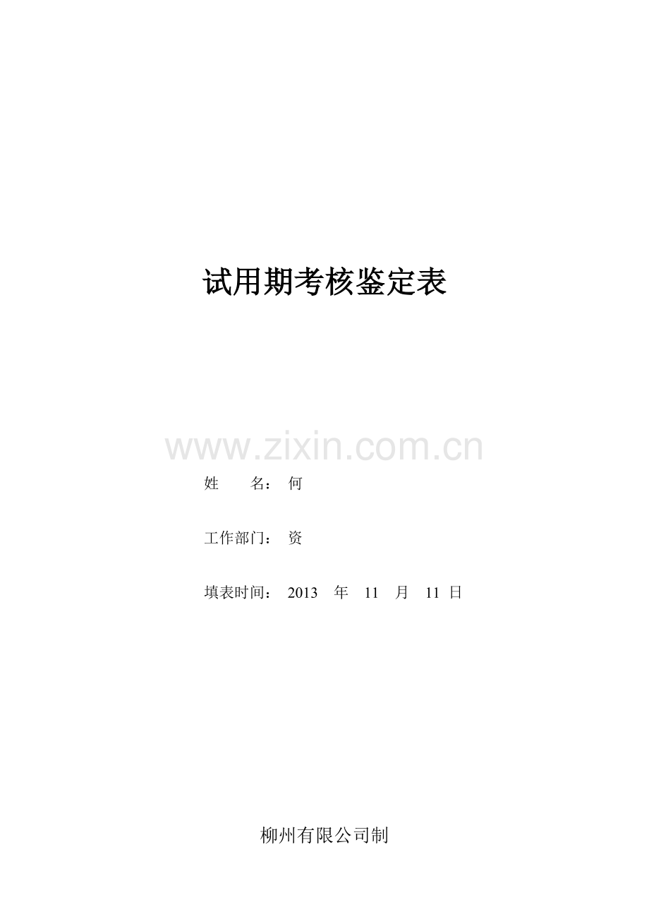 试用期考核表(何)..doc_第1页