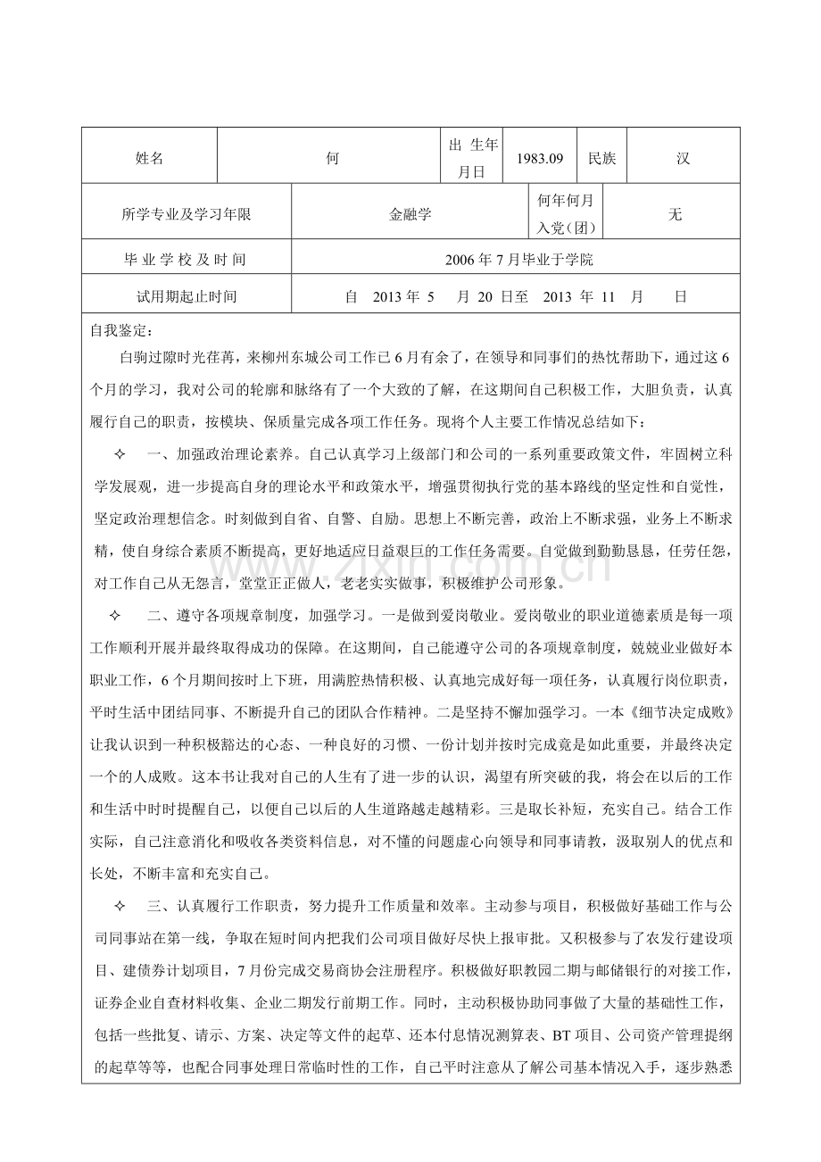 试用期考核表(何)..doc_第2页