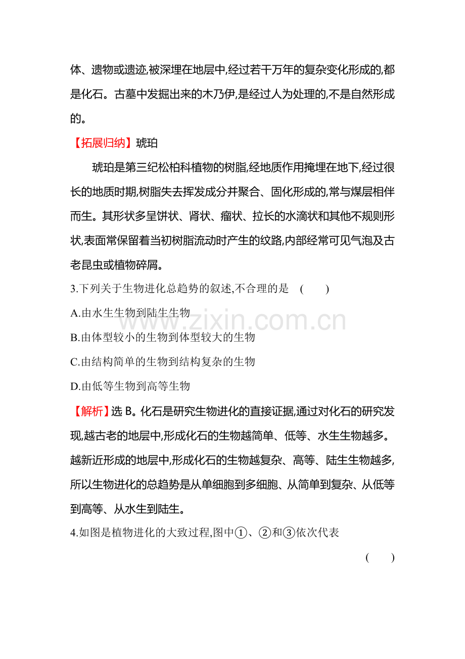 生物进化的历程同步训练题.doc_第2页