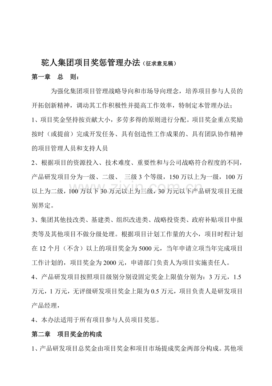项目奖惩管理办法.doc_第1页