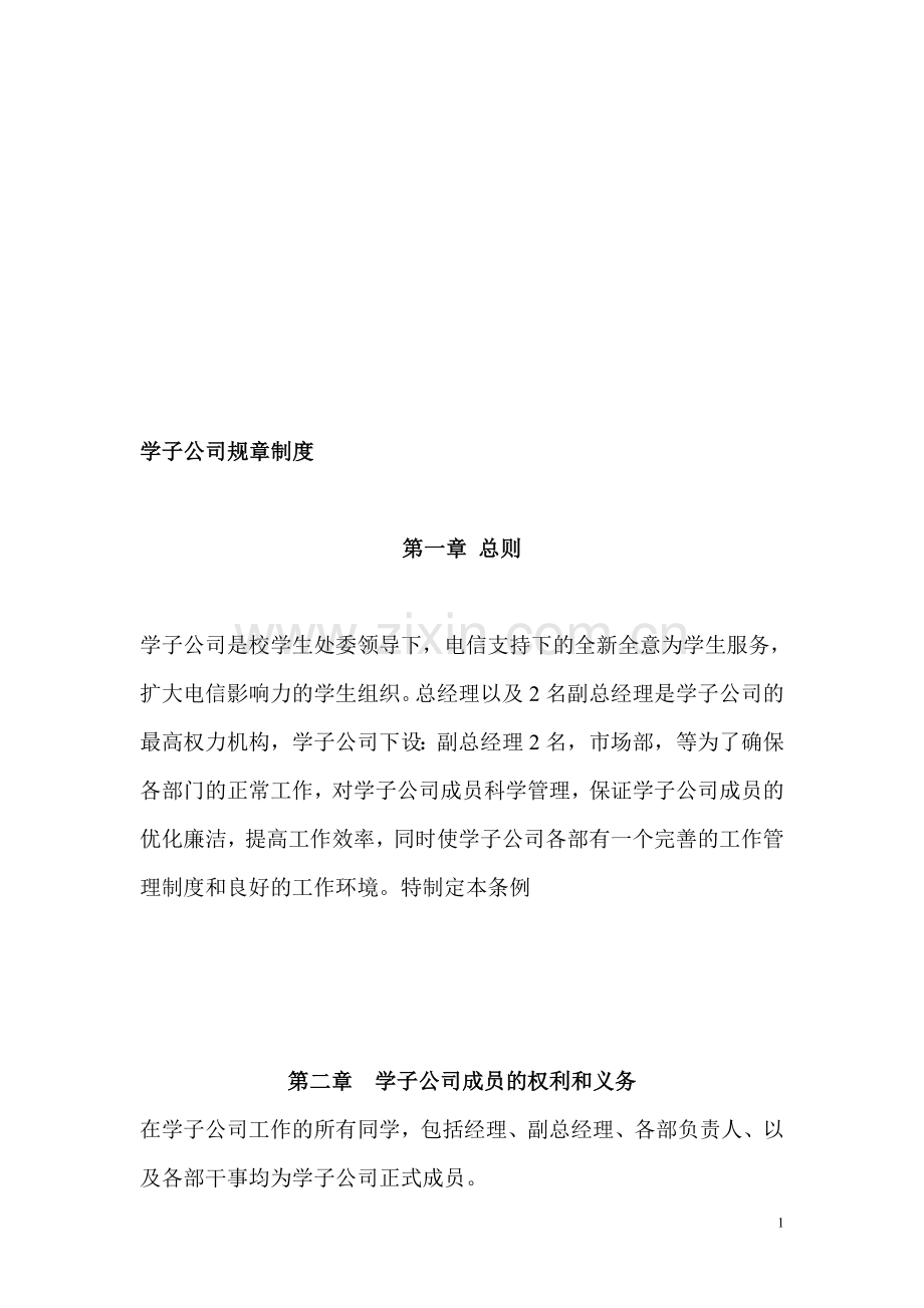 湘南学院学子公司规章制度.doc_第1页