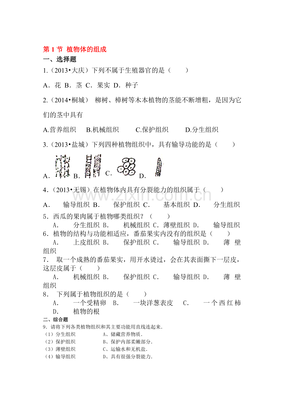 植物体的组成练习.doc_第1页
