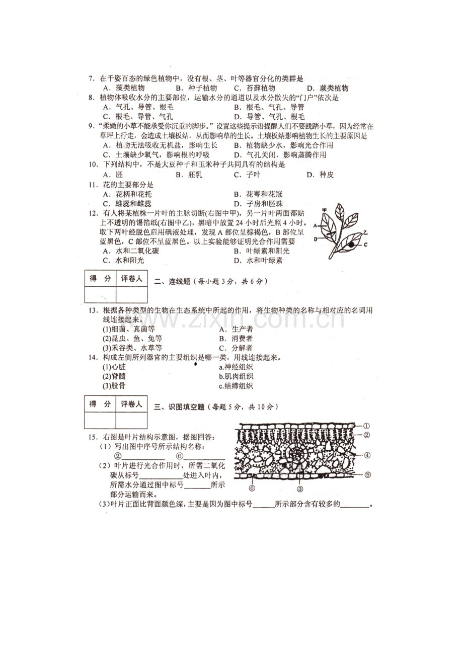 七年级生物上册期末考试试题6.doc_第2页