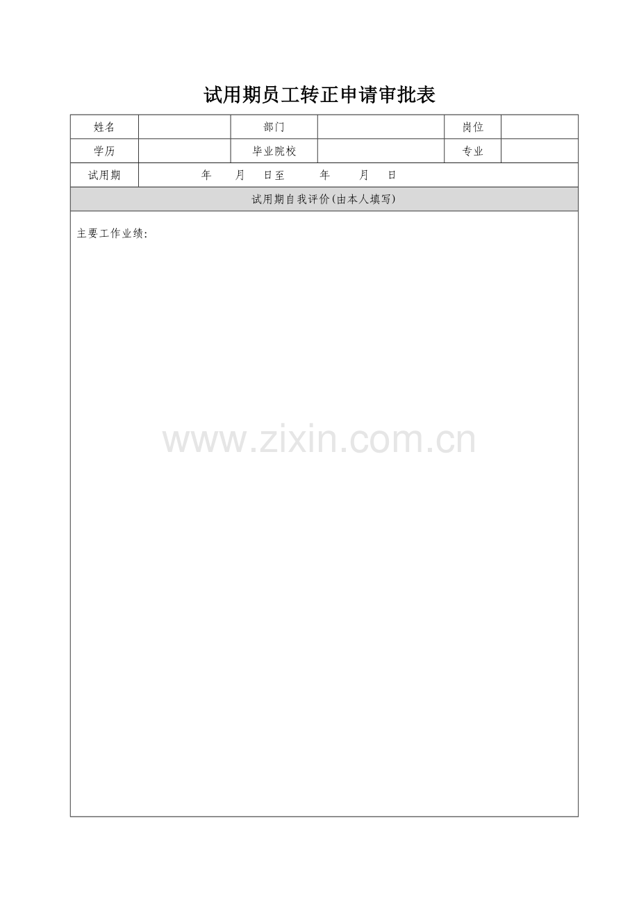 试用期考核表4..doc_第2页