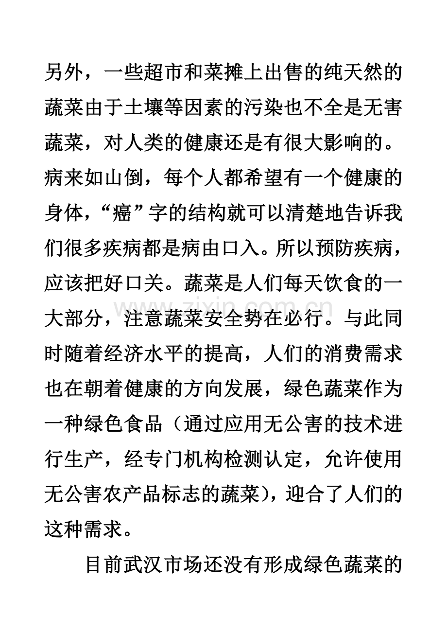 康乐绿色食品有限公司营销策划书.doc_第2页