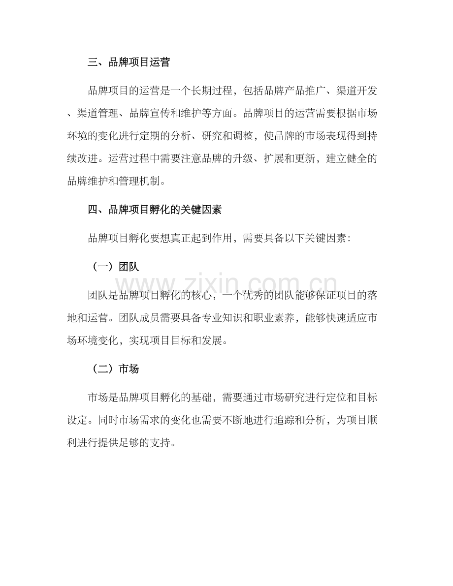 品牌项目孵化管理方案.docx_第2页