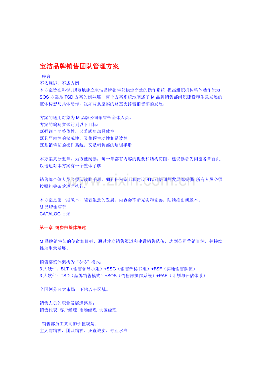 55-宝洁-品牌销售团队管理方案.doc_第1页