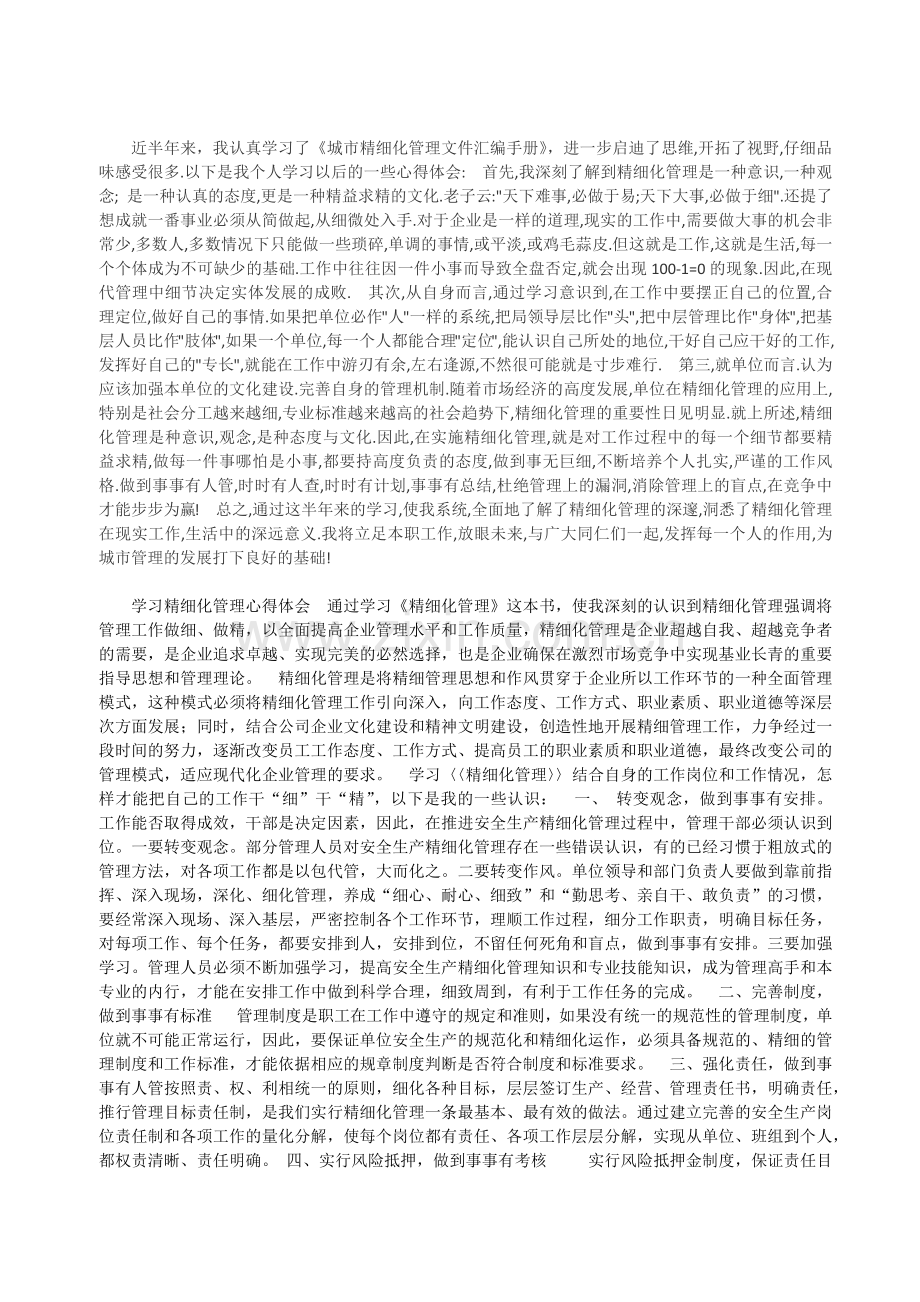 项目精细化管理论述.docx_第1页