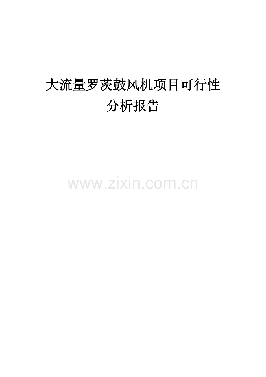 2024年大流量罗茨鼓风机项目可行性分析报告.docx_第1页