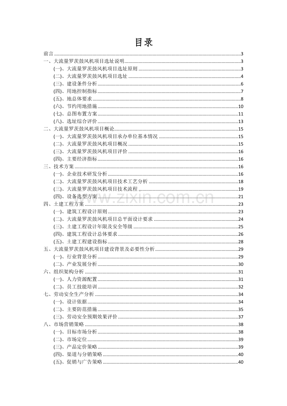 2024年大流量罗茨鼓风机项目可行性分析报告.docx_第2页