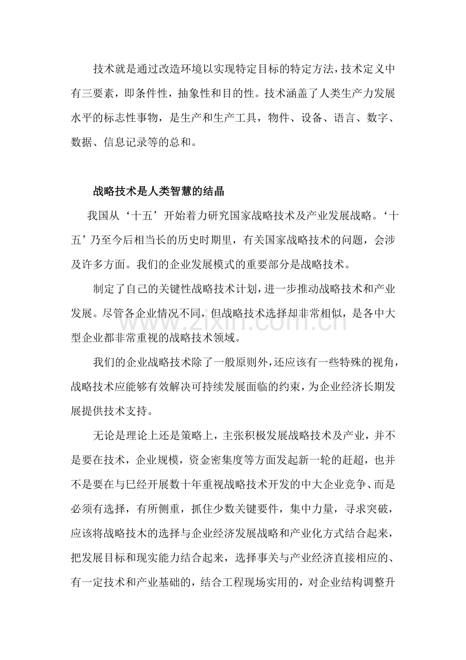 战略与技术创新和运用.doc_第2页
