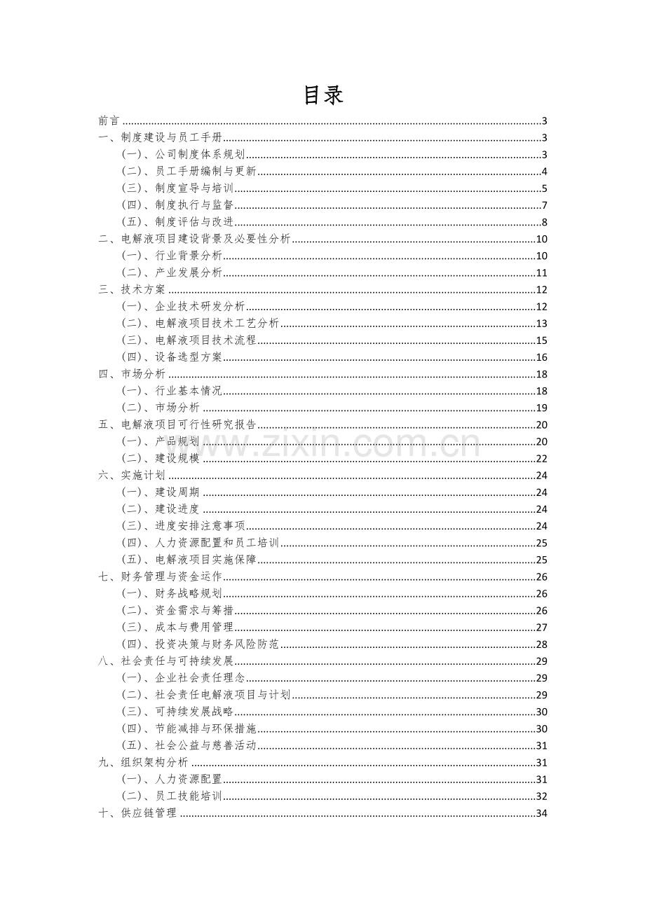 2024年电解液项目投资分析及可行性报告.docx_第2页