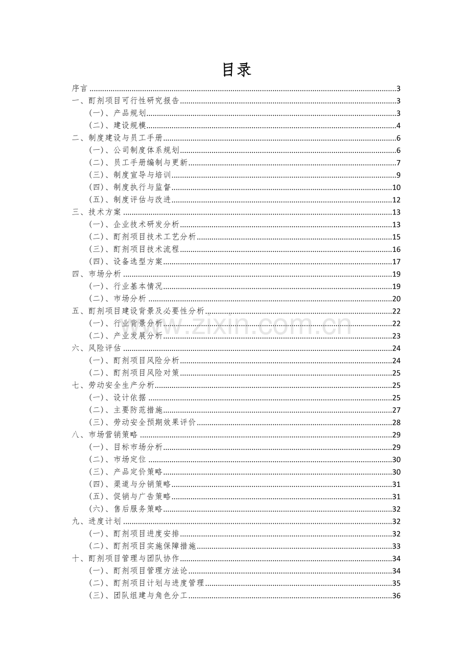 2024年酊剂项目可行性分析报告.docx_第2页
