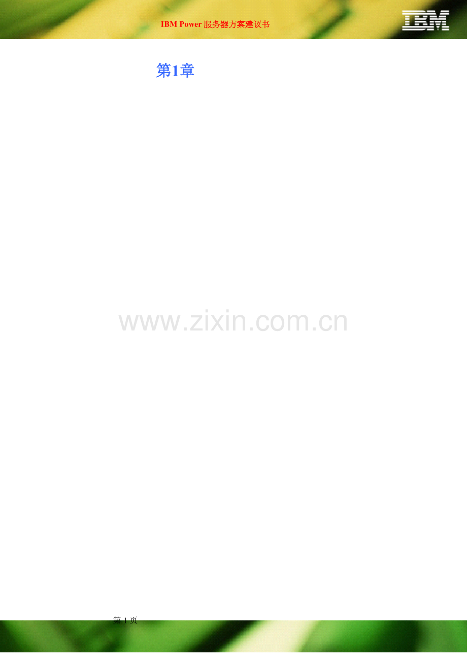 IBM小型机解决方案.doc_第1页