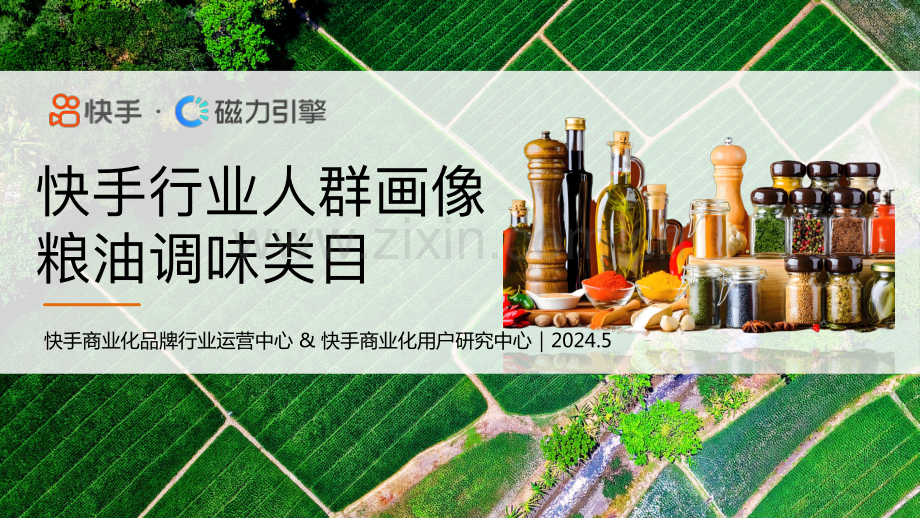 行业人群画像粮油调味类目.pdf_第1页