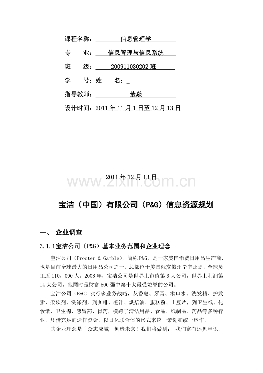 宝洁公司信息资源规划论文{}.doc_第2页