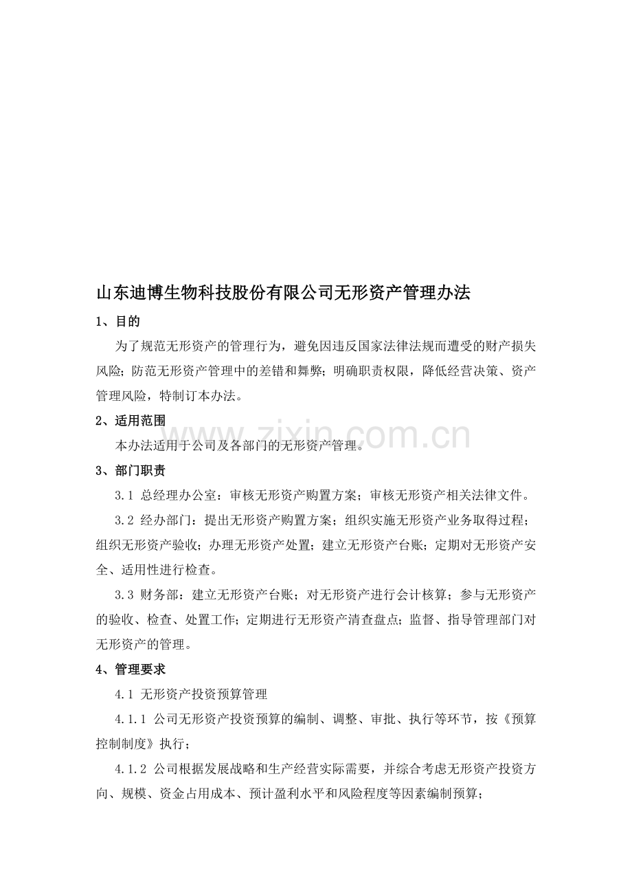 无形资产管理办法.doc_第1页