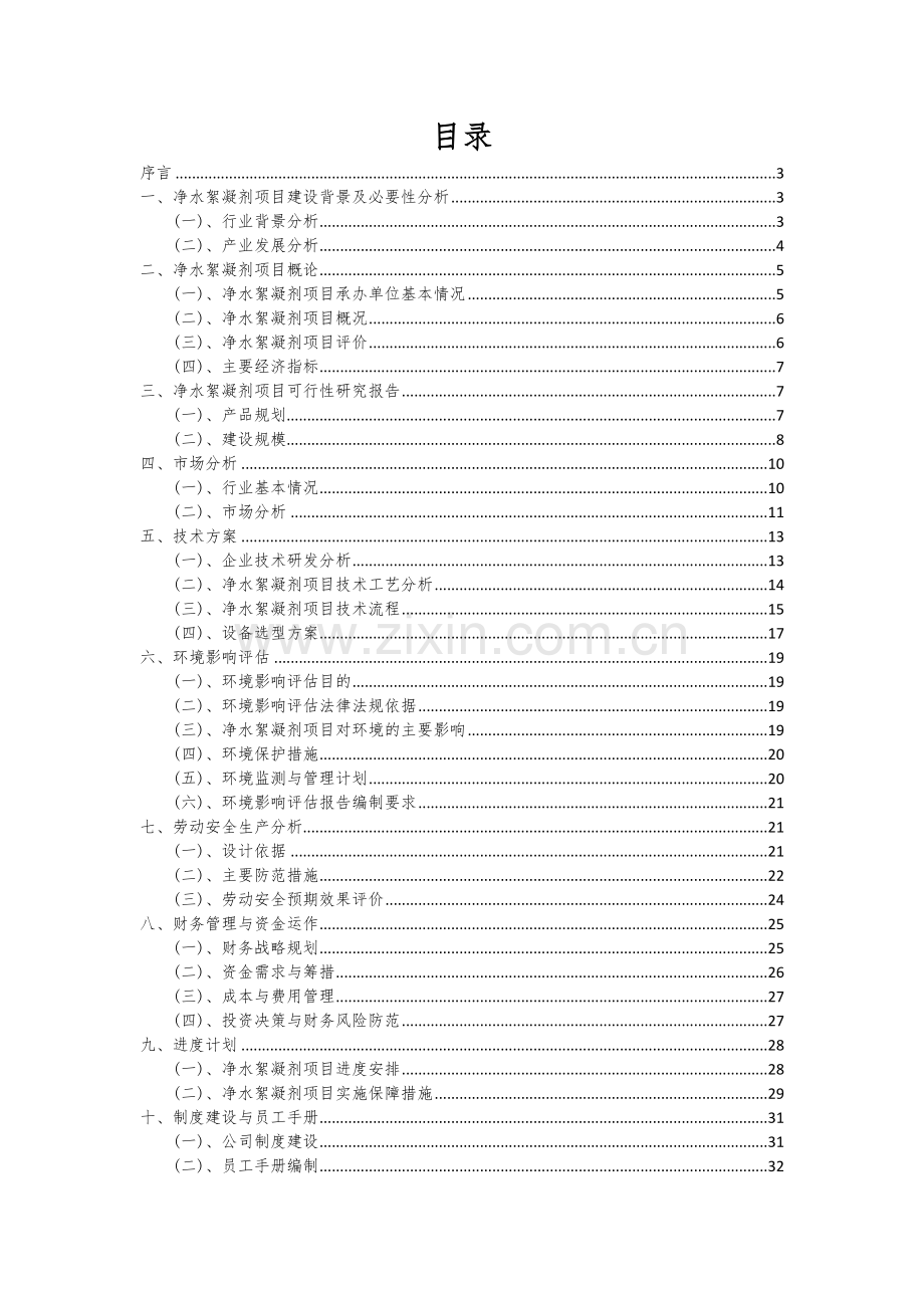 2024年净水絮凝剂项目可行性研究报告.docx_第2页