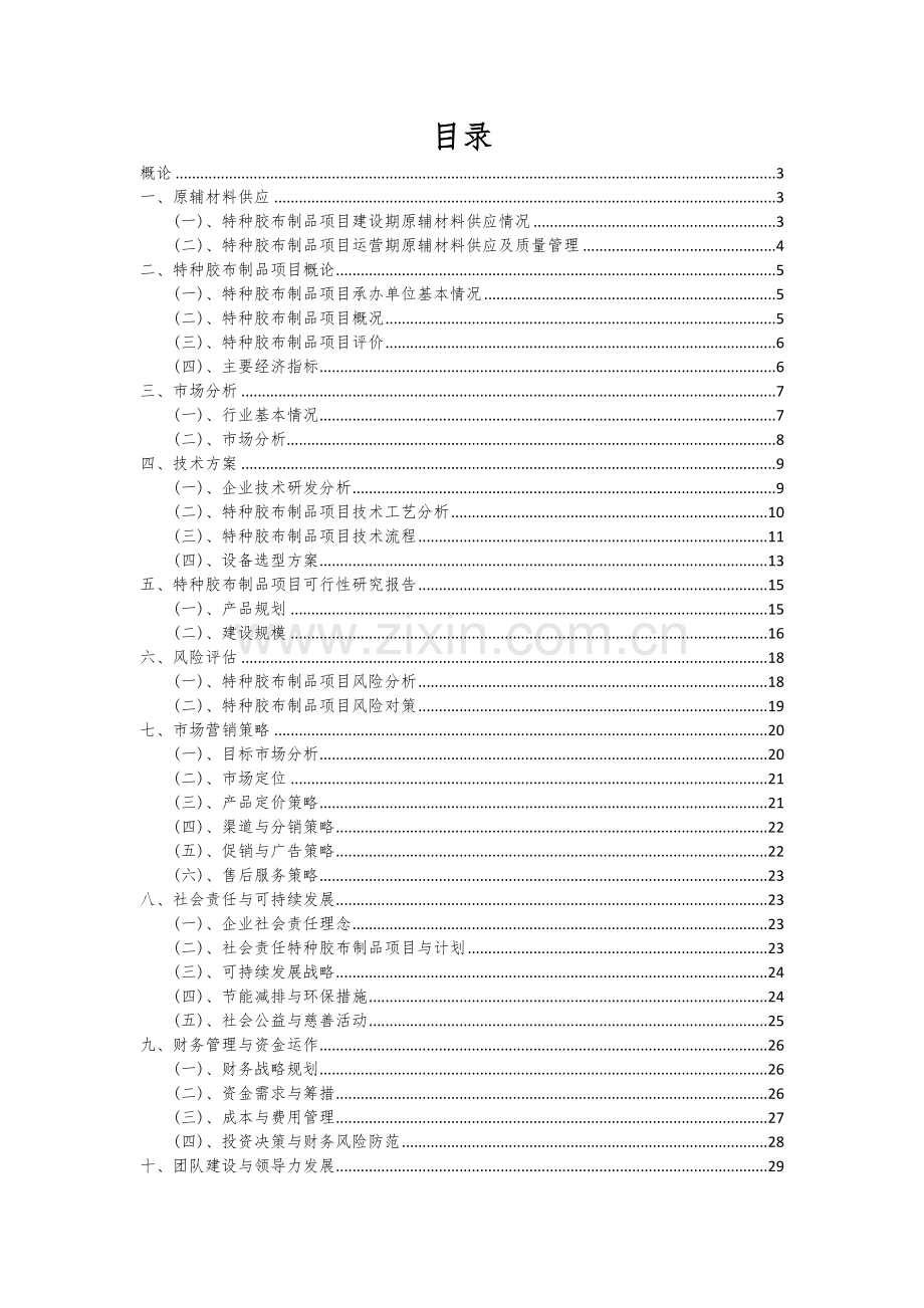 2024年特种胶布制品项目投资分析及可行性报告.docx_第2页
