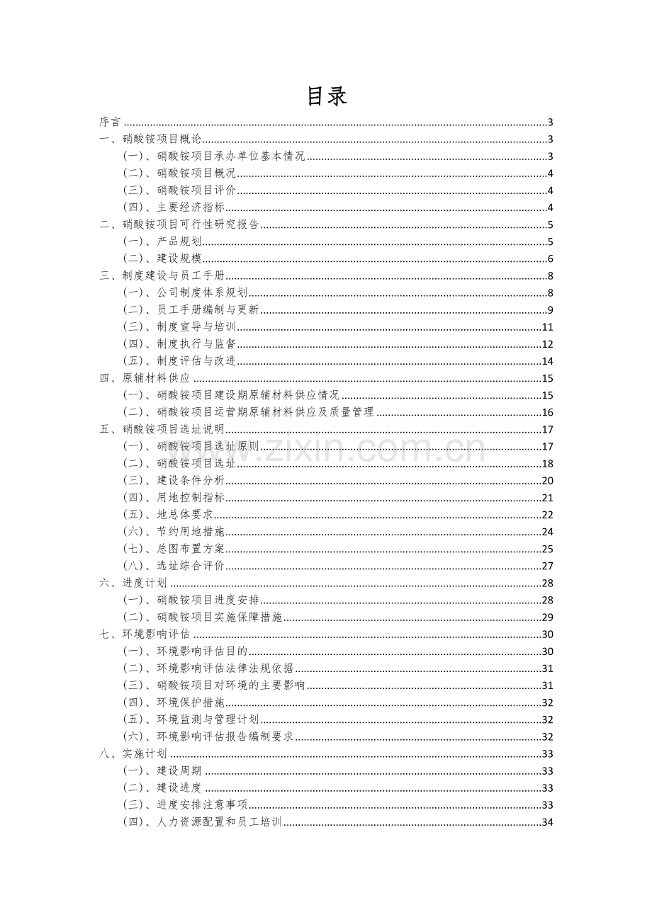 2024年硝酸铵项目可行性分析报告.docx_第2页