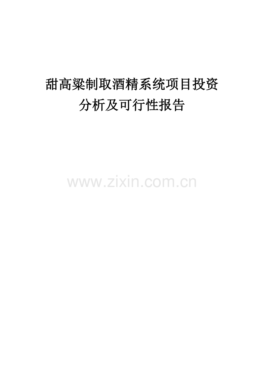 2024年甜高粱制取酒精系统项目投资分析及可行性报告.docx_第1页