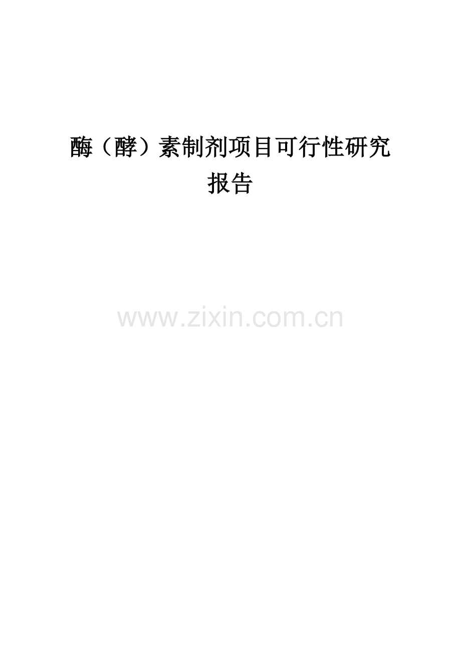 2024年酶(酵)素制剂项目可行性研究报告.docx_第1页