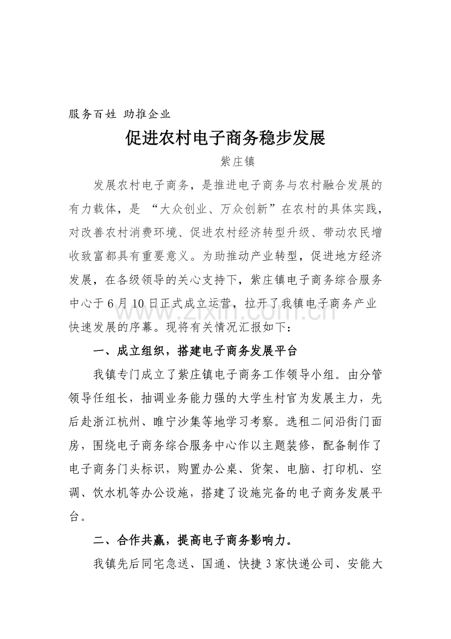 紫庄镇电子商务运营方案.doc_第1页