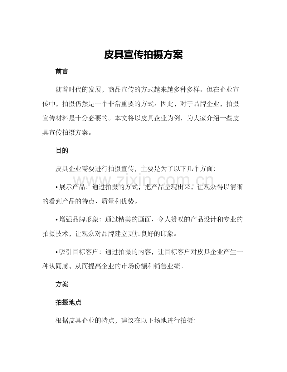 皮具宣传拍摄方案.docx_第1页