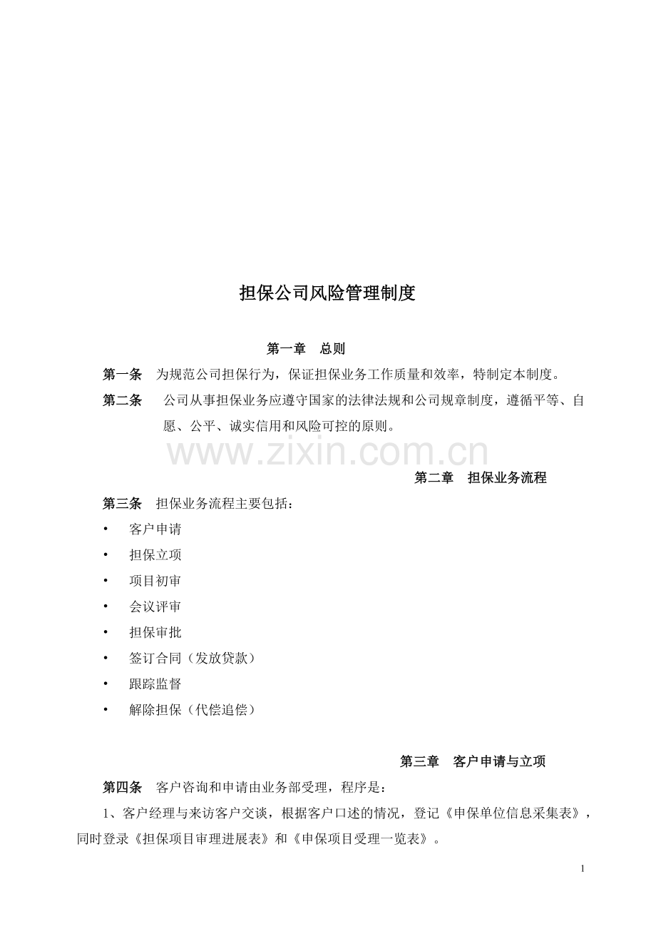 担保公司风险管理制度及流程.doc_第1页
