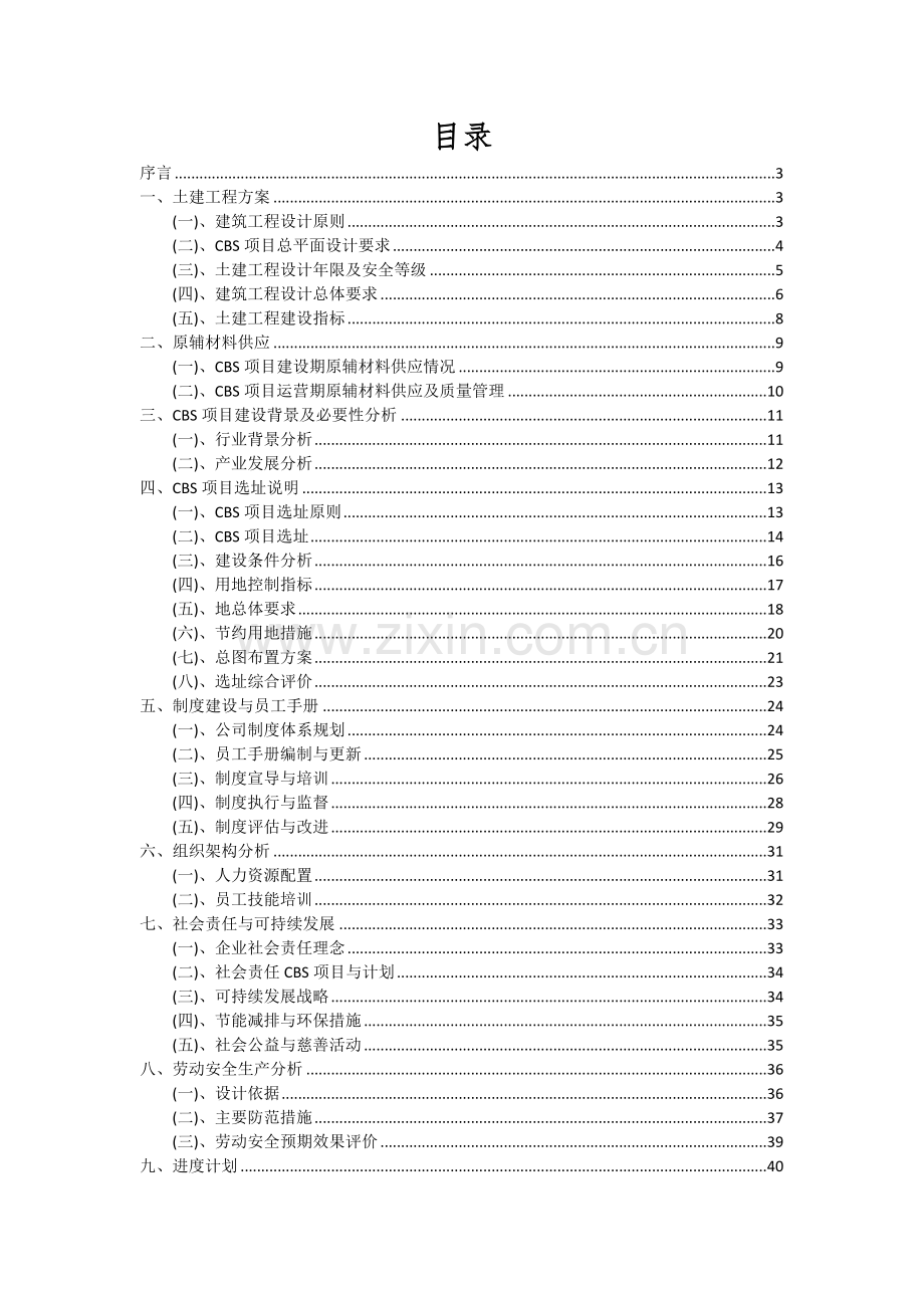 2024年CBS项目深度研究分析报告.docx_第2页