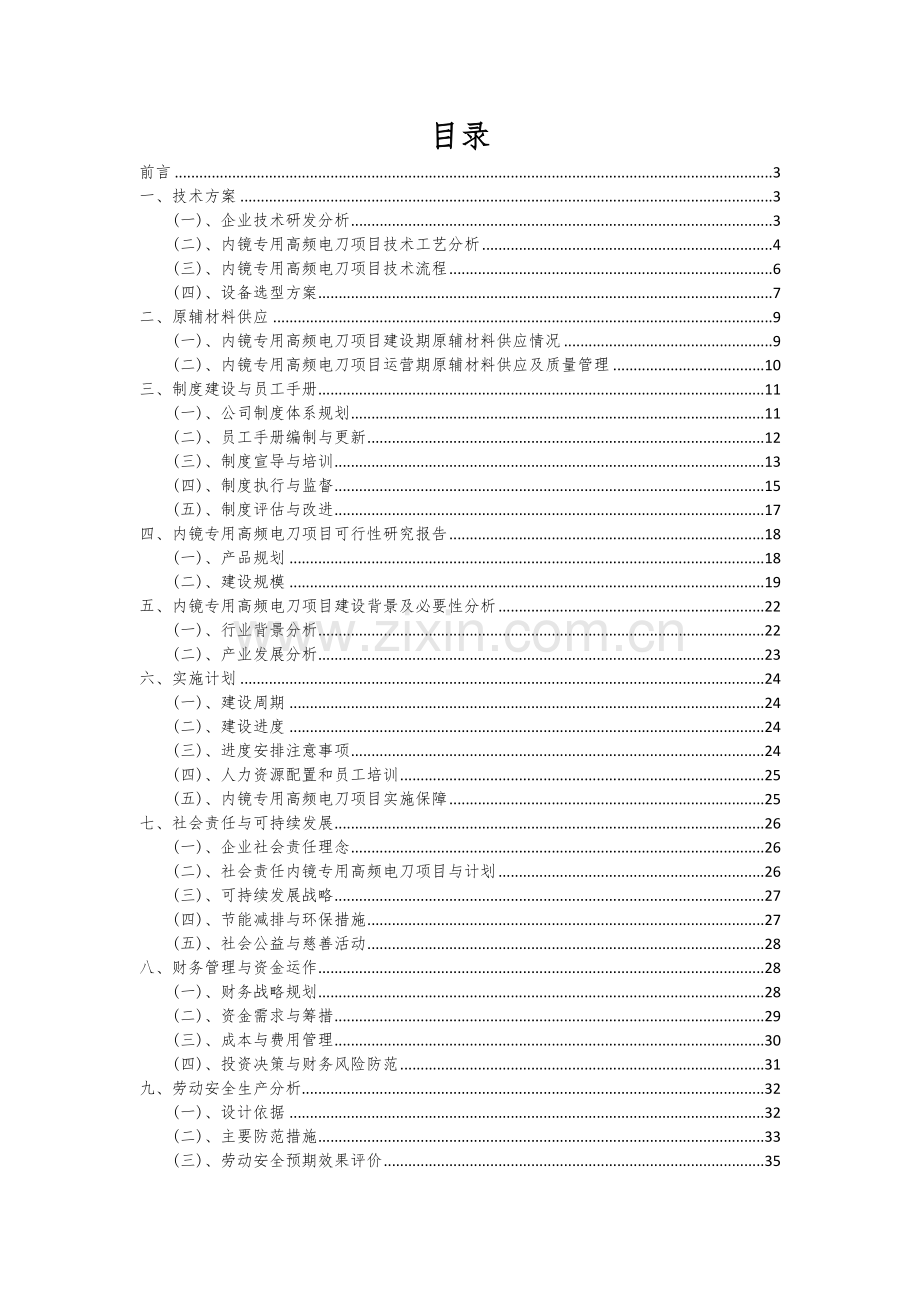 2024年内镜专用高频电刀项目深度研究分析报告.docx_第2页