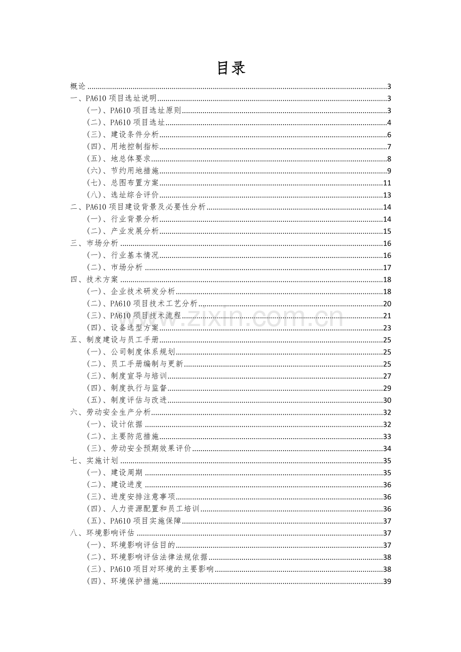 2024年PA610项目可行性分析报告.docx_第2页
