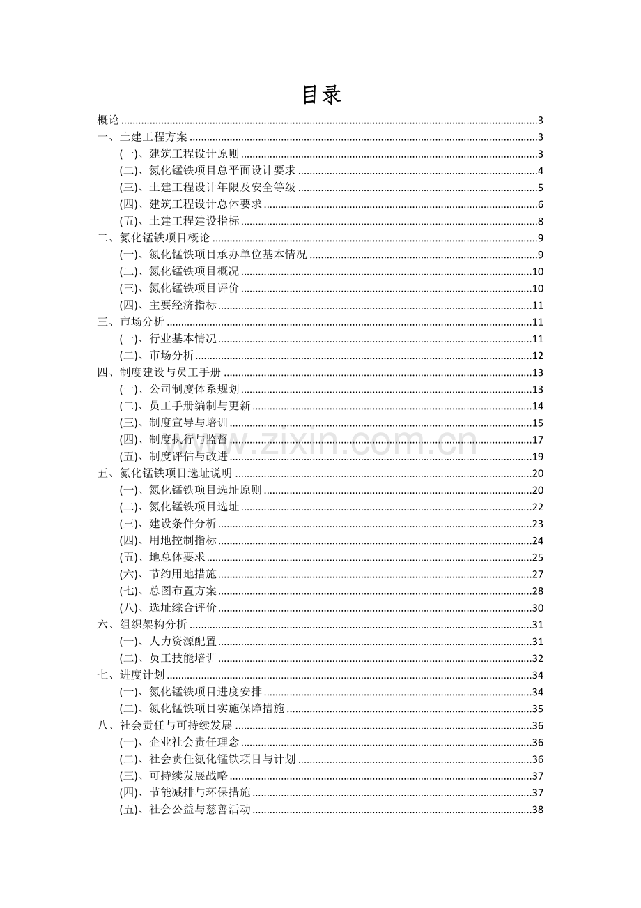 2024年氮化锰铁项目投资分析及可行性报告.docx_第2页