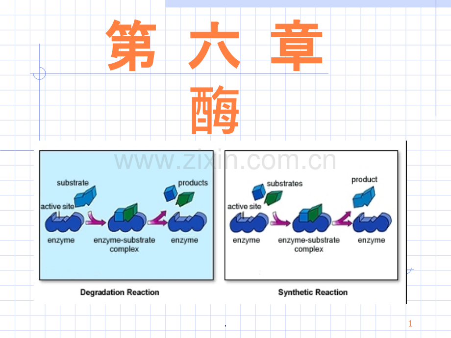 酶的基本性质及其作用.ppt_第1页
