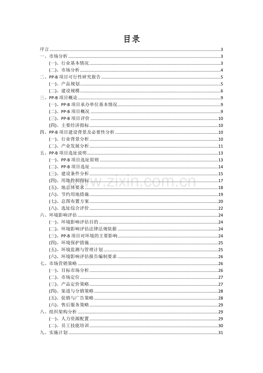 2024年PP-B项目可行性研究报告.docx_第2页