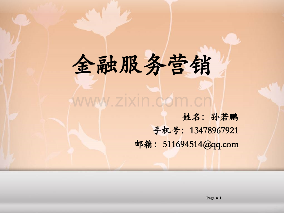 金融服务营销第三课.ppt_第1页