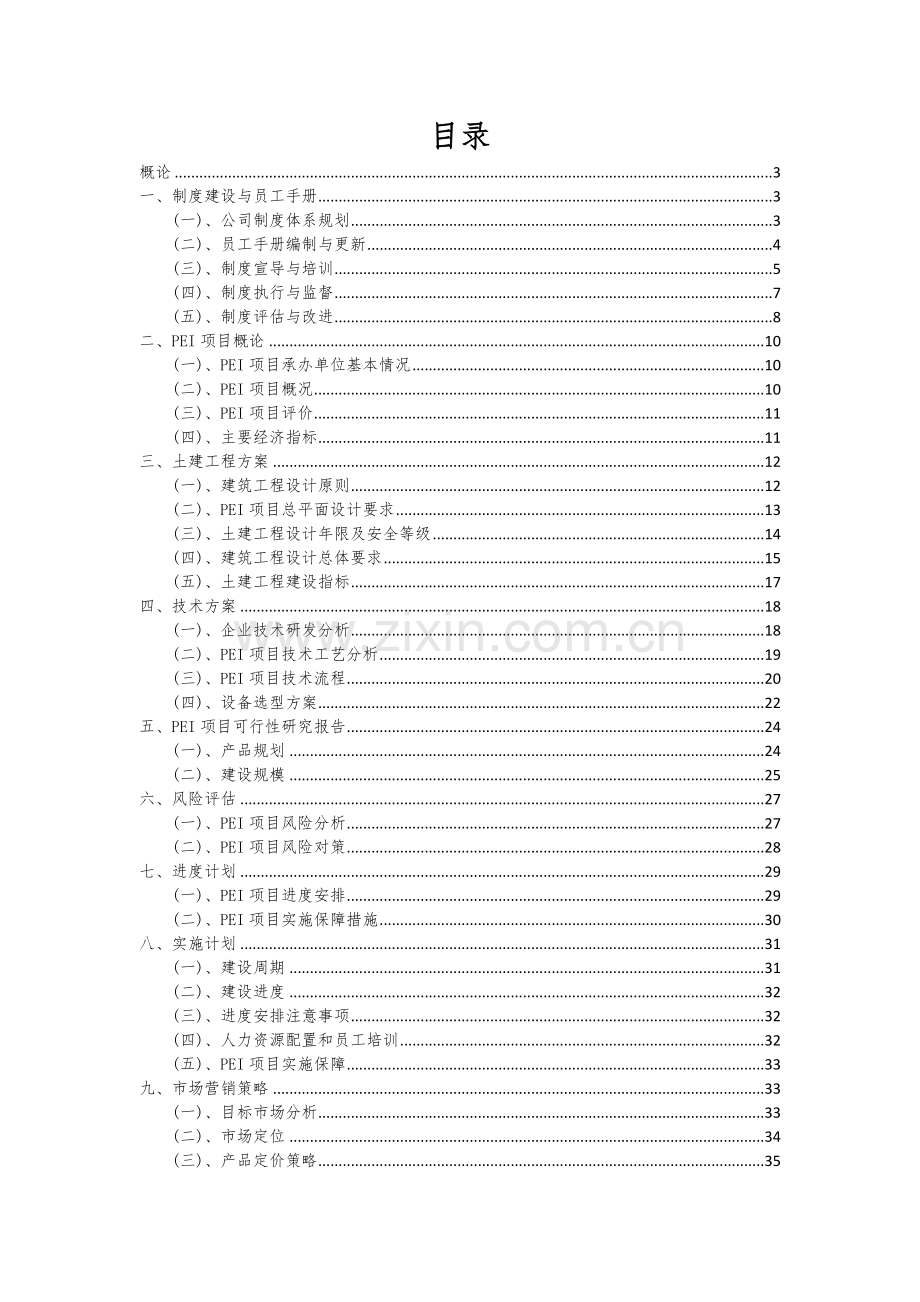 2024年PEI项目可行性研究报告.docx_第2页