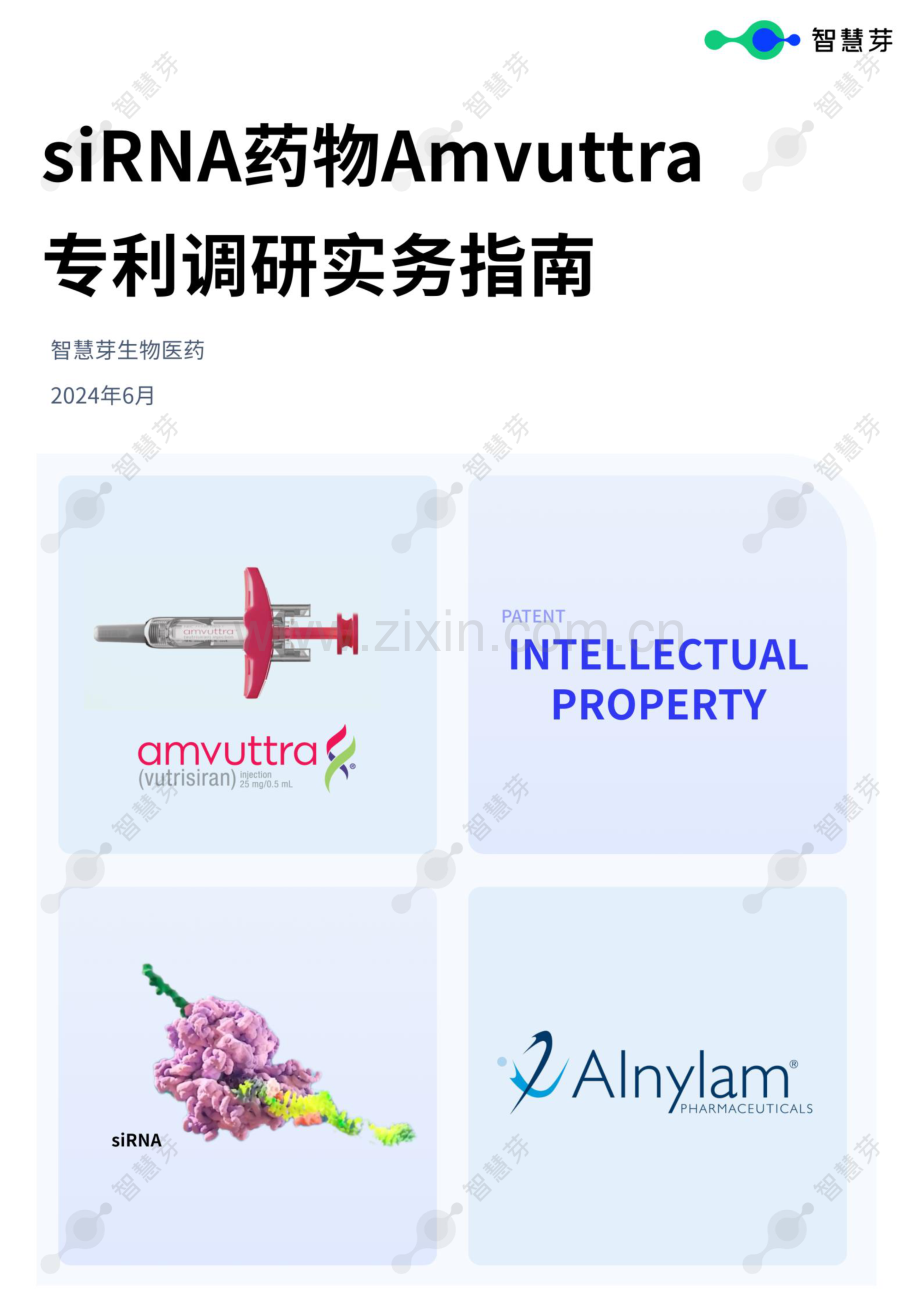 siRNA药物Amvuttra专利调研实务指南.pdf_第1页