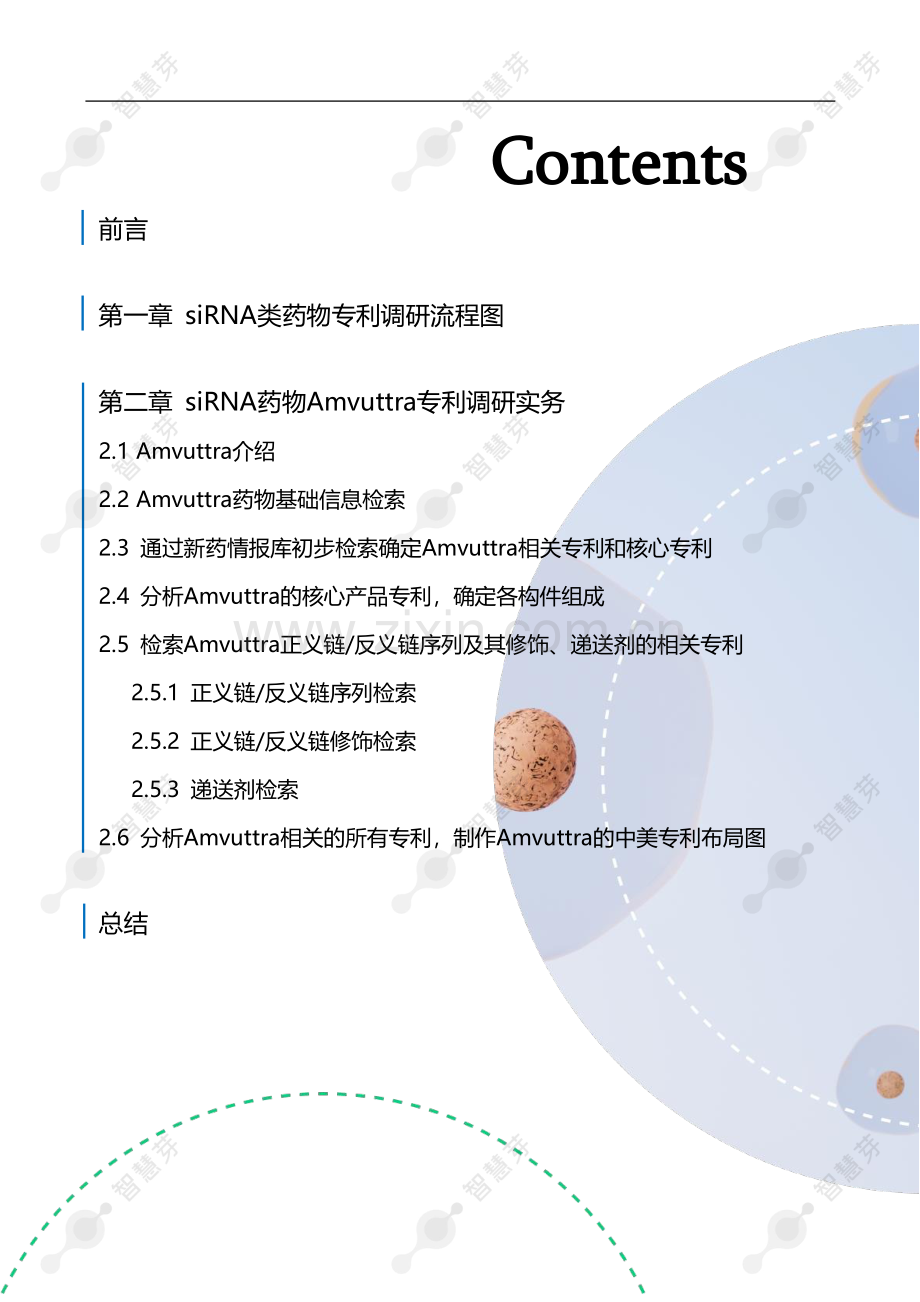 siRNA药物Amvuttra专利调研实务指南.pdf_第2页