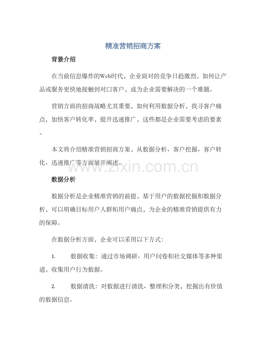 精准营销招商方案.docx_第1页