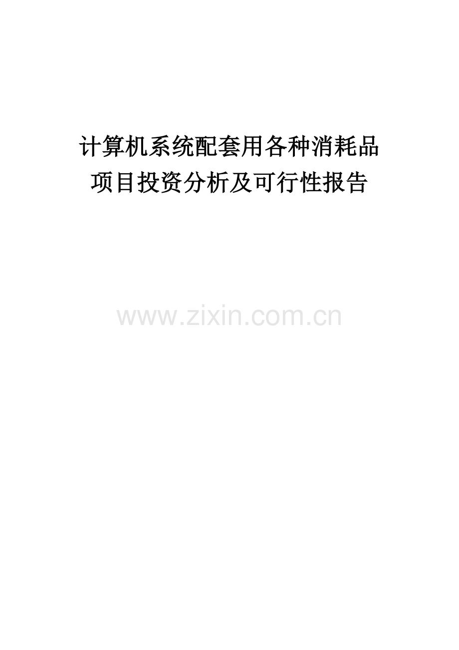 2024年计算机系统配套用各种消耗品项目投资分析及可行性报告.docx_第1页