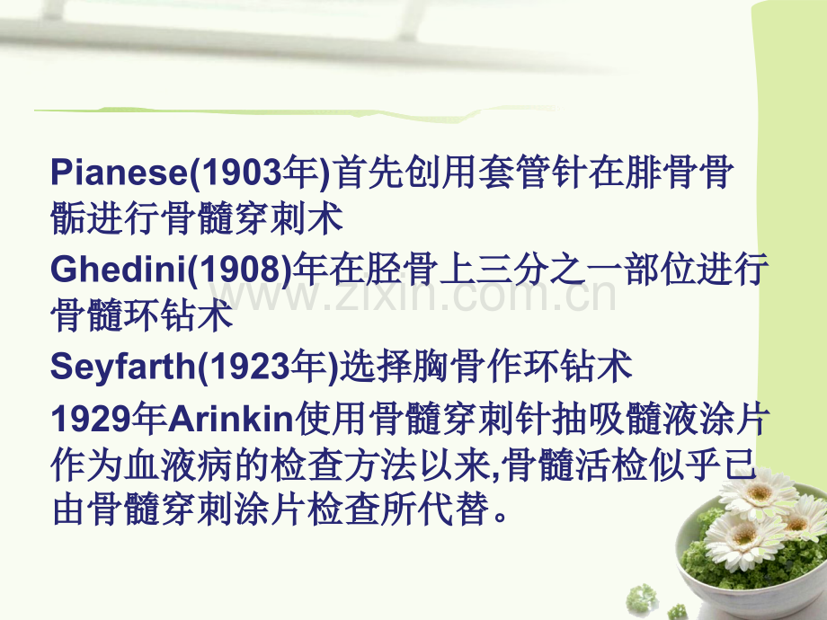 骨髓活体组织检查ppt课件.ppt_第2页