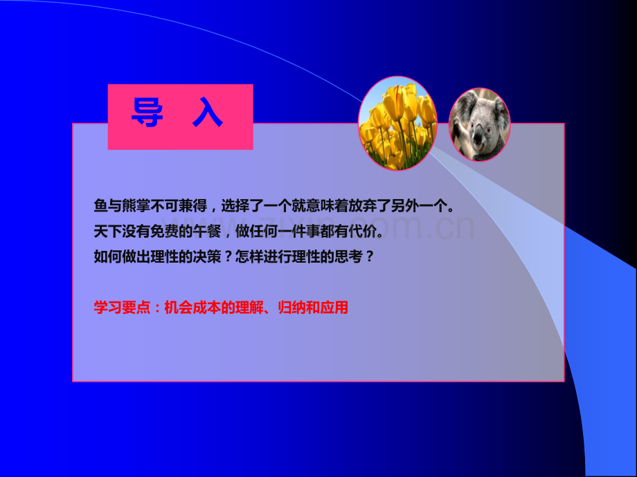 机会成本PPT.ppt_第2页