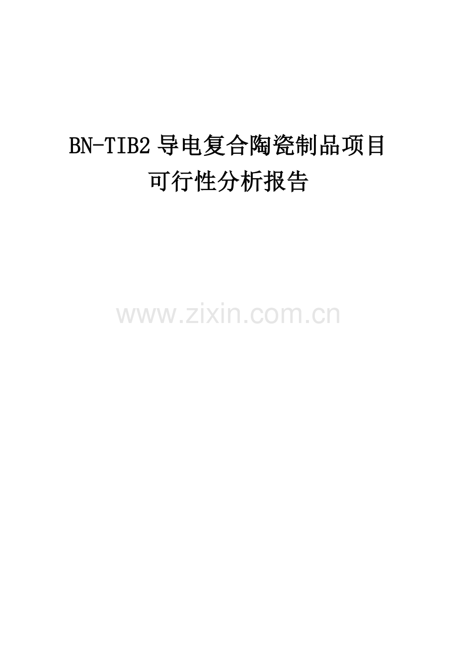 2024年BN-TIB2导电复合陶瓷制品项目可行性分析报告.docx_第1页