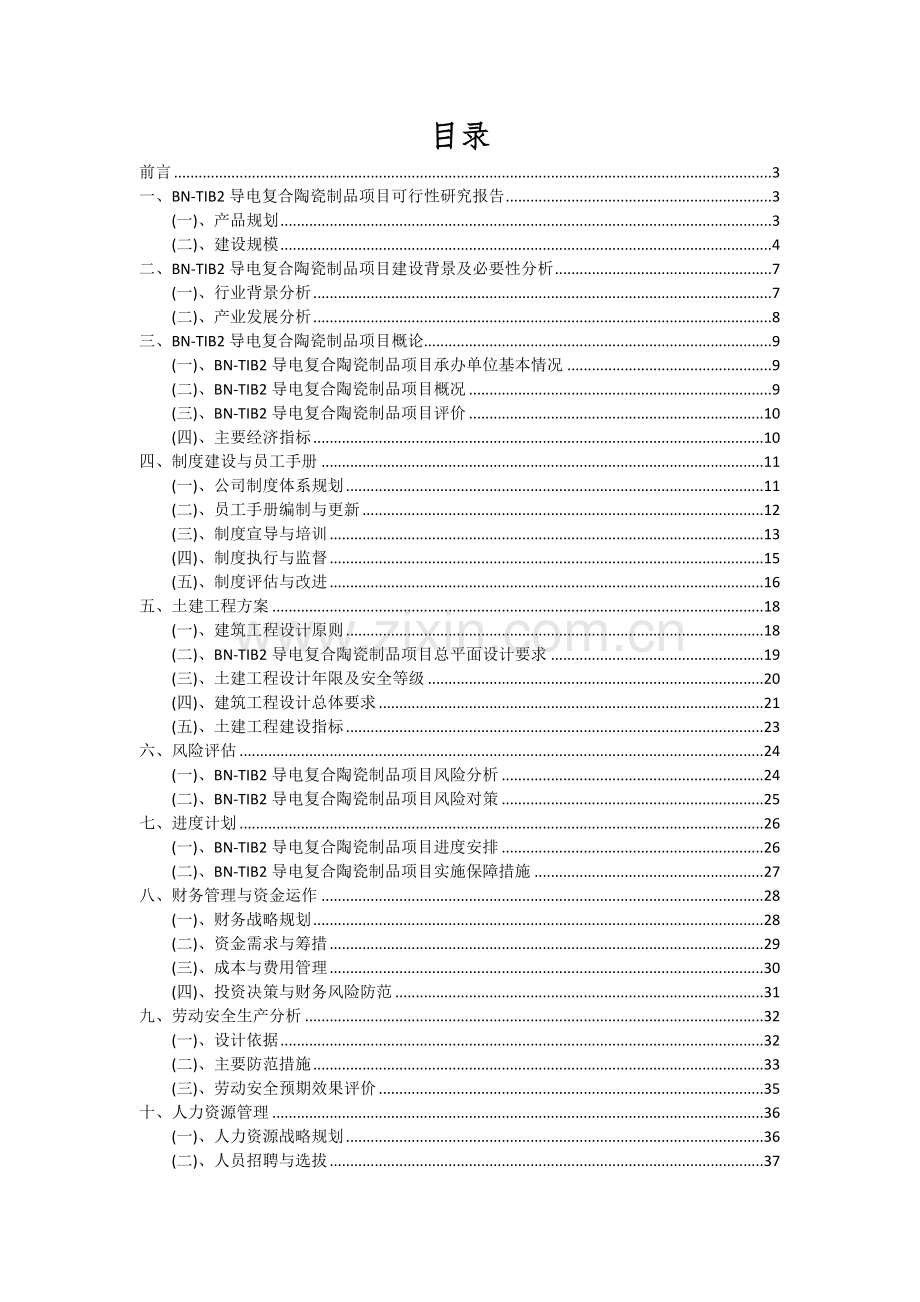 2024年BN-TIB2导电复合陶瓷制品项目可行性分析报告.docx_第2页