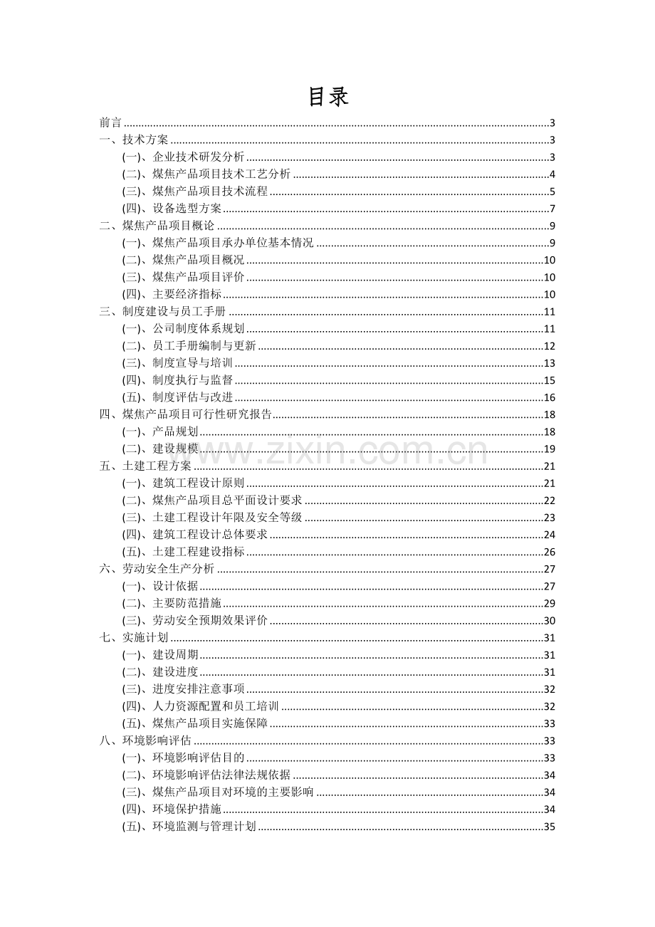 2024年煤焦产品项目投资分析及可行性报告.docx_第2页