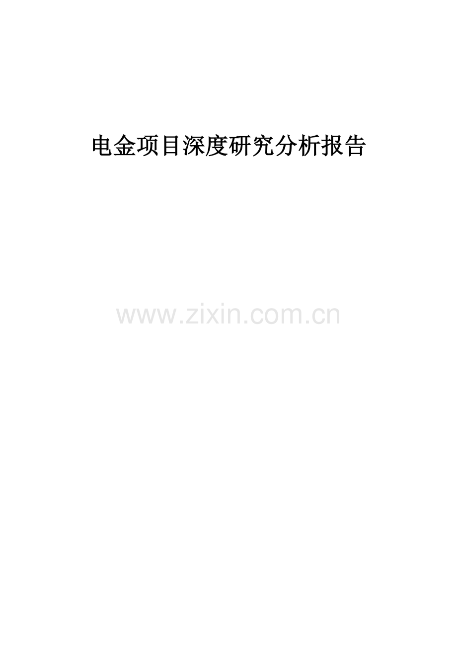 2024年电金项目深度研究分析报告.docx_第1页