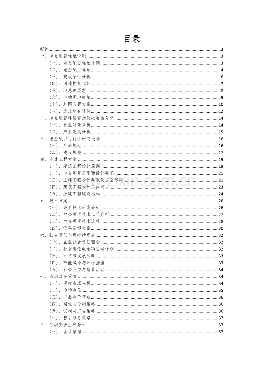 2024年电金项目深度研究分析报告.docx_第2页