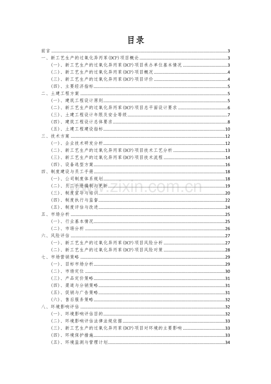 2024年新工艺生产的过氧化异丙苯(DCP)项目可行性分析报告.docx_第2页