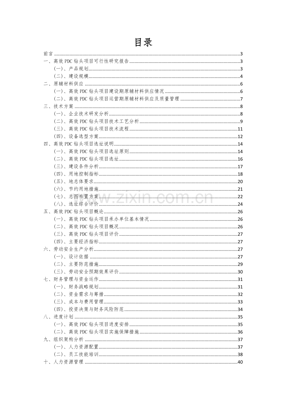2024年高效PDC钻头项目可行性研究报告.docx_第2页
